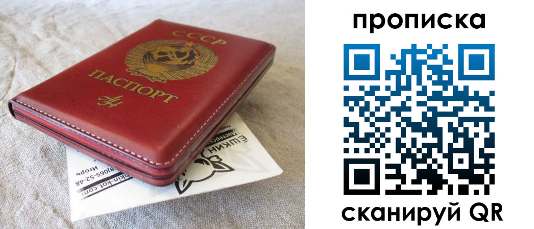 прописка для школы в Новосибирске